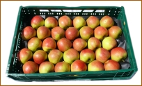 Gesundes Obst Obstbau Messmer