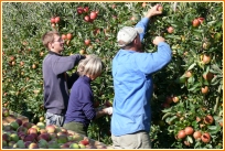 Obstbau Messmer